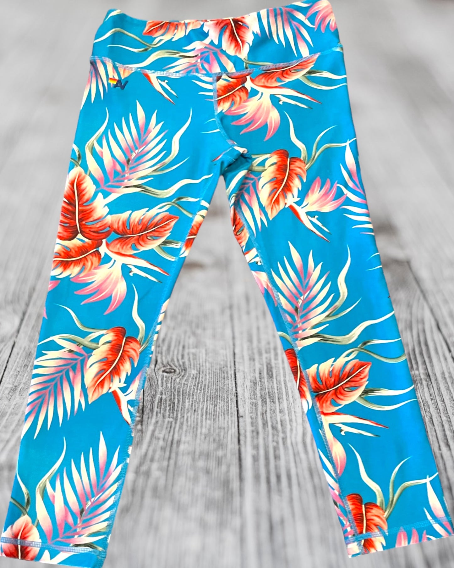 Aviator Nation 🌈 leggings blue size M